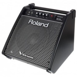 Roland PM-100  Drum Monitor