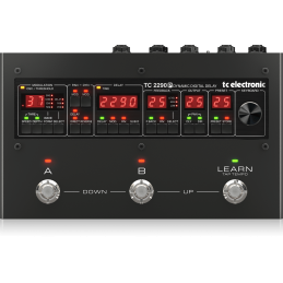 TC Electronic 2290 P...