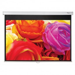 Optoma DS-1123PMG+...