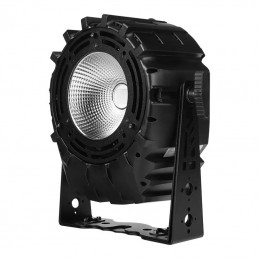 PAR64 LED P300 +AUV F-WDMX