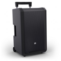 LD Systems ANNY 12