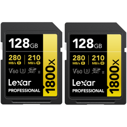 Lexar SDXC Pro 1800x U3...