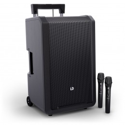 LD System ANNY® 12 HHD2 B8