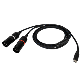 DAP FL115 - USB-C to 2...