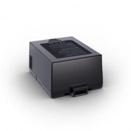 LD Systems ANNY® 12 BATTERY...
