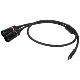 DAP FL112 - USB-C to 2...