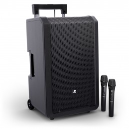 LD Systems ANNY 12 HHD 2 B8