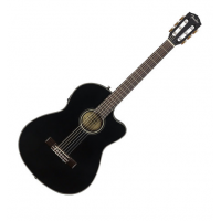 Klasikinės gitaros 4/4